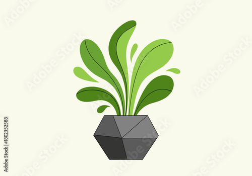 Geometric plant with green leaves in a modern hexagonal pot design