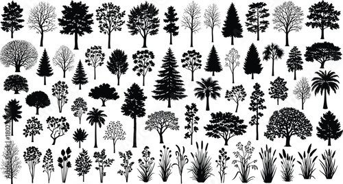 PrintDiverse tree and plant silhouettes collection, botanical forest elements, natural foliage icons, landscape vegetation set for design, illustration resources