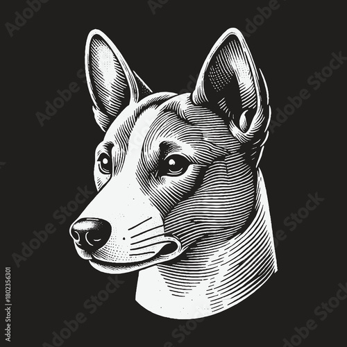 Basenji Dog Head Engraving Style Illustration on Black Background.