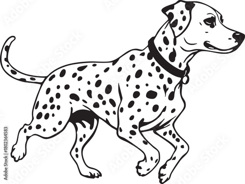 Black and White Dalmatian Dog Running Vector Illustration for Pet, Mascot, and Firefighter Design