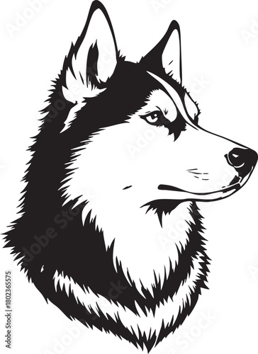 Detailed Siberian Husky Head Vector: Strong Dog Portrait for Mascot, Logo, and Pet Design