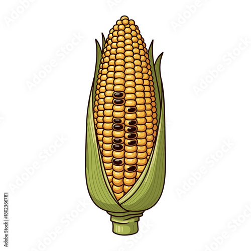 Roasted ear of corn illustration with golden kernels and green husk in a vibrant style
