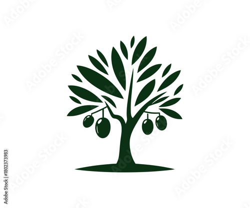 Illustration of olive tree