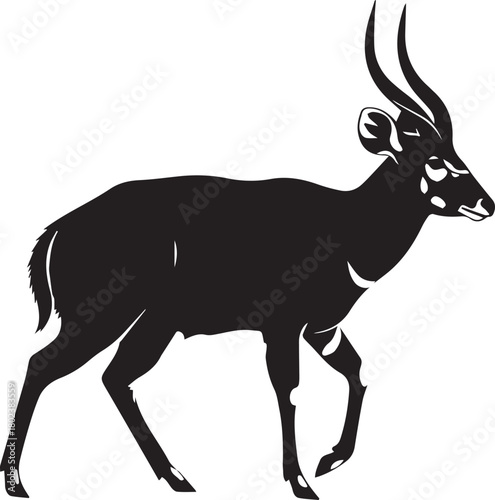 Silhouette of a majestic bushbuck antelope with spiraling horns standing gracefully