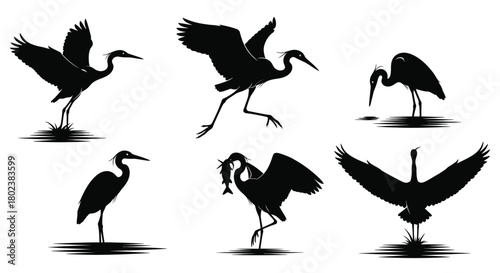 Silhouette collection of graceful herons in various flight and standing poses