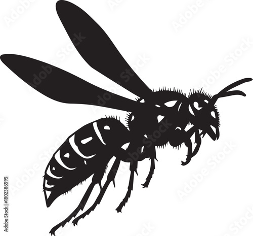 Silhouette of a wasp in flight capturing its detailed form and wings outspread