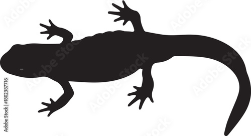 Silhouette of a curious lizard with five toes on each foot against a plain backdrop