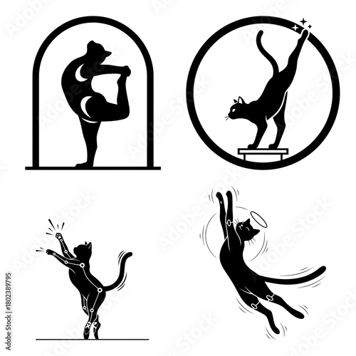 Cat workout silhouette black cat doing yoga and acrobatics isolated on flexibility, balance and grace