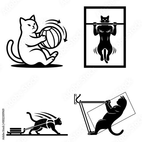 Cat workout silhouette white and black cat doing fitness and sport exercises isolated on funny animal