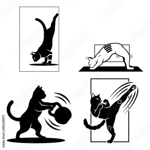 Cat workout silhouette funny cat doing fitness and sport exercises, isolated on vector illustration