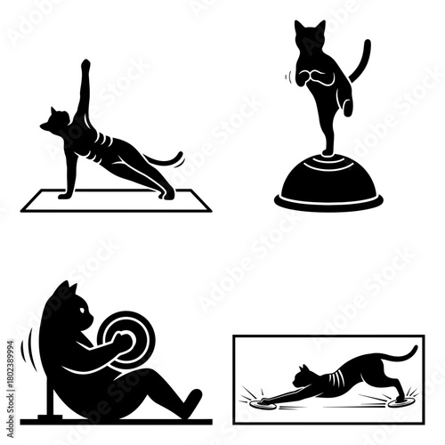 Cat workout silhouette black cat doing fitness and sport exercises isolated on funny animal training