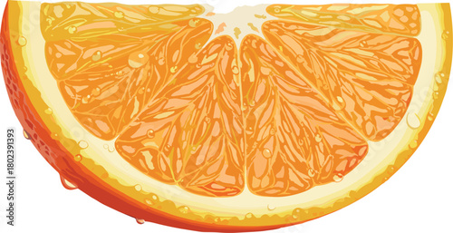 Vibrant Orange Slice: A Citrus Burst of Freshness.