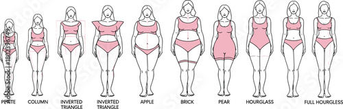 Collection of different female body shapes, vector illustration set showing petite, apple, pear, hourglass, and column types, fashion guide.