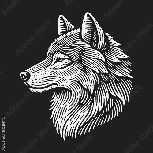 Engraved Wolf Head Profile Illustration on Black Background.