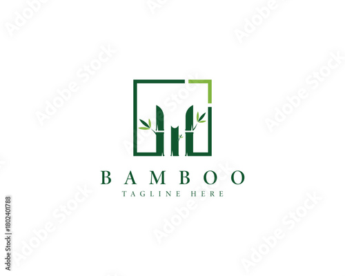 Green bamboo stalks with leaves inside a square frame logo leaf plant
