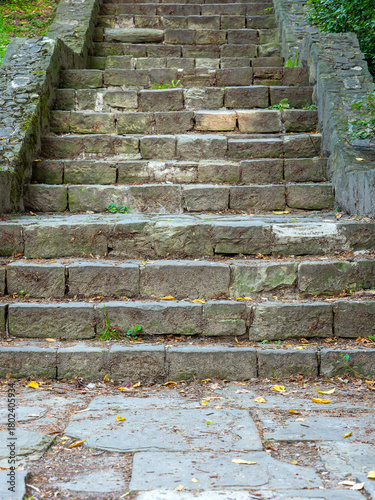 old stone steps in a natural setting, seen from a low frontal perspective, with moss and scattered leaves