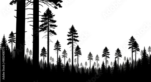 Classic kitchen whisk illustration perfect for culinary designs and cooking themed projects