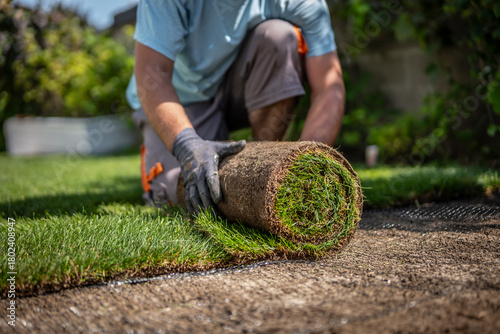 Gardening - Gardener laying sod for the new lawn. 	
Making a lawn from a roll. Man laying grass turf rolls for new garden lawn.
