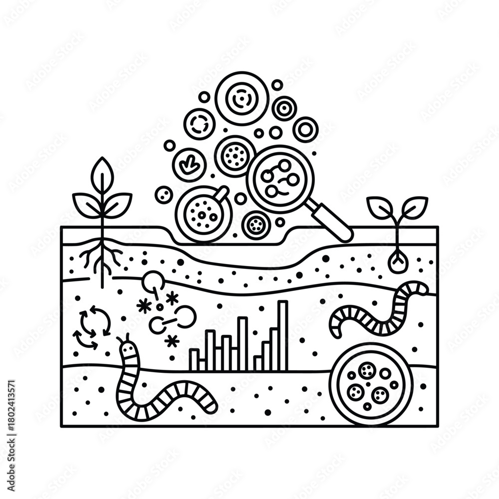 Obraz premium Soil ecosystem with microorganisms, plants, and earthworm.