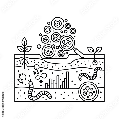 Soil ecosystem with microorganisms, plants, and earthworm.