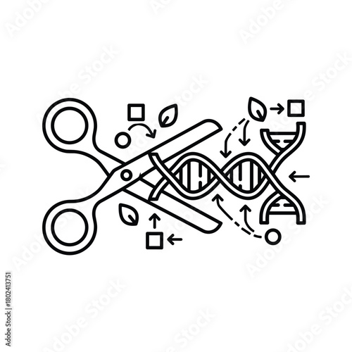 Genetic engineering dna editing and modification modern process