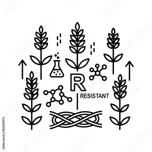 Genetic engineering of resistant crops for sustainable agriculture
