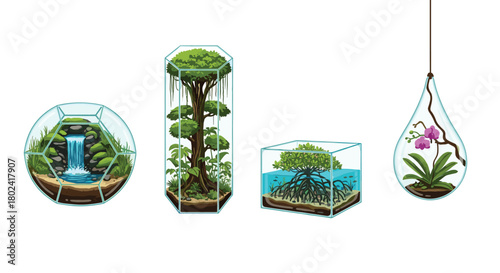 Set of four beautiful plant terrariums in different glass containers, featuring miniature ecosystems with waterfalls, trees, mangroves, and orchids.