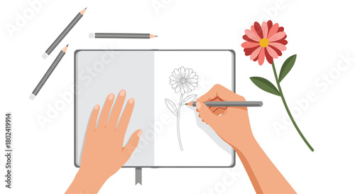 Top-down view of an artist's hands sketching a flower in a notebook with pencils, with the real flower for reference nearby.