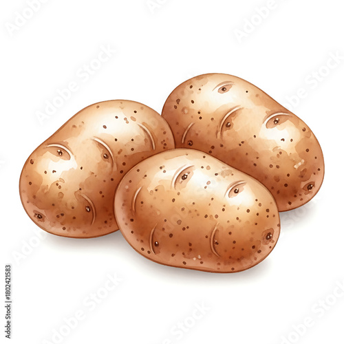 Three Fresh Potatoes Realistic Illustration Isolated on White