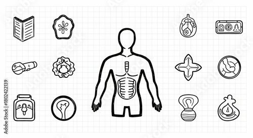 Human anatomy and fitness concept with outline icons on grid background