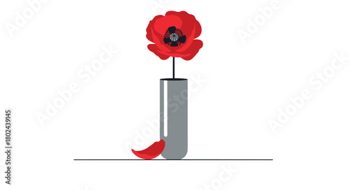 Minimalist still life illustration of a single, vibrant red poppy flower in a sleek grey vase with one fallen petal nearby.