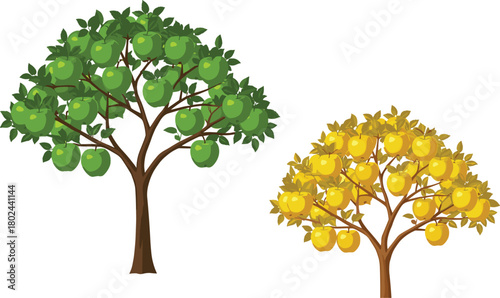Green apple tree and yellow apple tree side by side in orchard, fruit comparison, autumn foliage, agricultural nature landscape scene