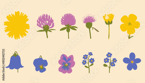 Illustration of stylized wildflowers in various colors, arranged on a light background