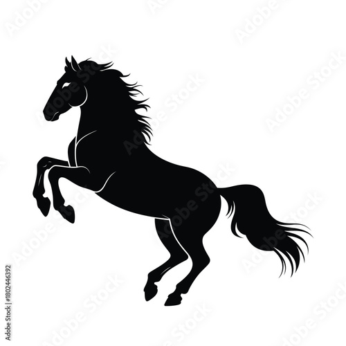 A black horse rearing up on its hind legs, isolated on the horse is in silhouette, with a flowing mane and tail