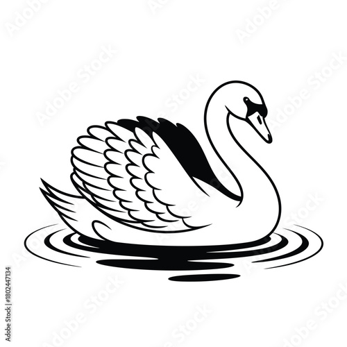 Elegant swan gracefully swimming on water, a serene bird illustration with detailed feather, isolated on