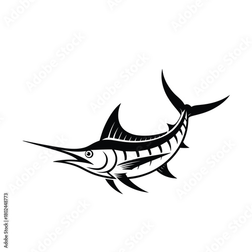A black marlin fish swims gracefully, isolated on the marlin has a long bill and a sleek body, making it a formidable predator