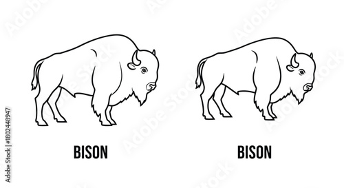 Simple black and white line drawing depicting two bison animals