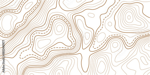 Abstract topo contour map on white background, Topographic map Topographic contour lines map seamless pattern.
