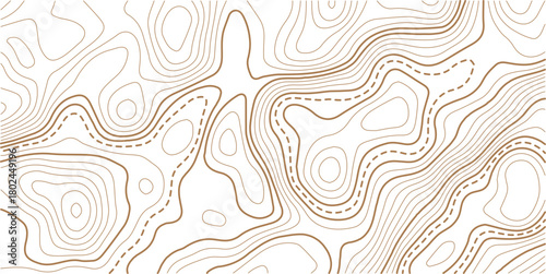 Topographic map pattern background vector. Abstract line contour mountain terrain map background. Vector illustration. 