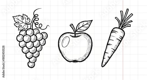 Hand-drawn fruit and vegetable sketches on grid paper background