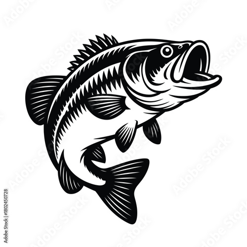 Detailed monochrome illustration of a largemouth bass jumping, isolated on, showcasing its distinctive features and dynamic movement in a vector style