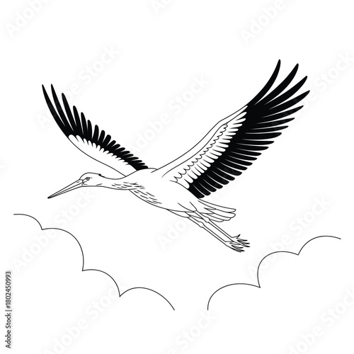 A stork gracefully soars through the sky, its wings outstretched against a backdrop of fluffy clouds, isolated on a symbol of new beginnings