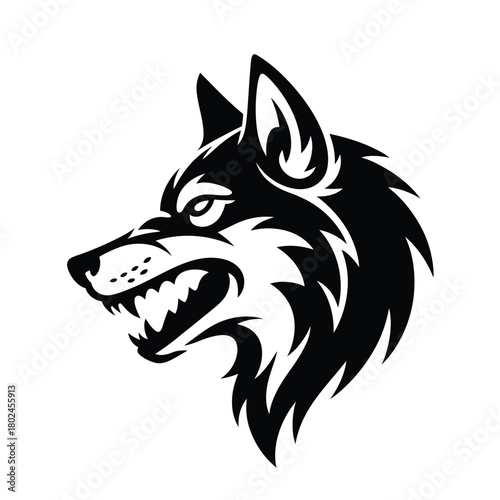 Illustration of a black wolf head with an aggressive expression, isolated on the wolf is snarling, showing its teeth, creating a fierce image