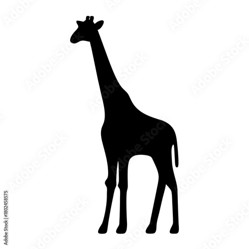 Elegant giraffe silhouette with a long neck stands tall against white background