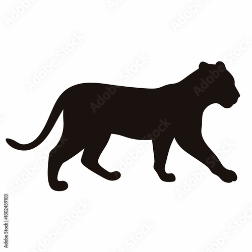 Silhouette of a Panther Walking Cautiously Through the Shadows of the Night