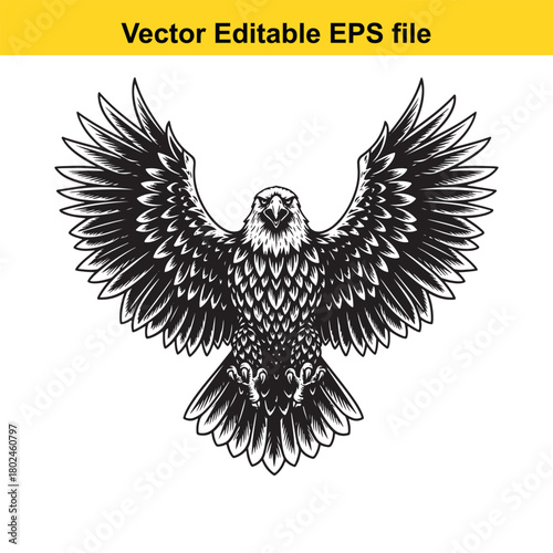 Detailed black and white illustration of a majestic eagle with outstretched wings, isolated on