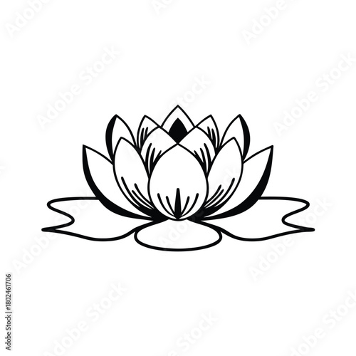 Lotus flower vector illustration with a white water lily design