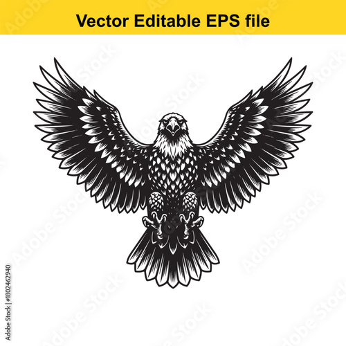 Detailed black and white illustration of a majestic eagle with outstretched wings, isolated on