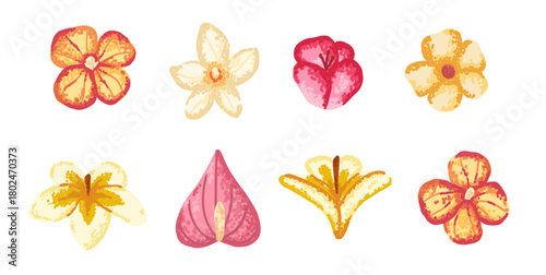 Wild exotic flowers on transparent background with noise texture