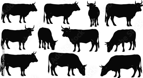 Elegant ribbon and bow banner silhouettes collection, decorative outline vector set for labels, invitations, gift wrapping, wedding, holiday celebration design projects